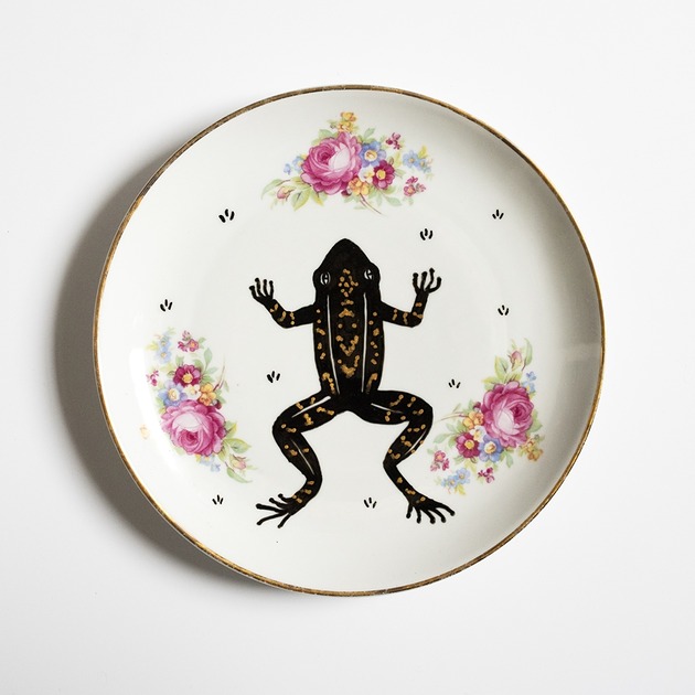 Ozdoby na ścianę Talerz na ścianę - żaba