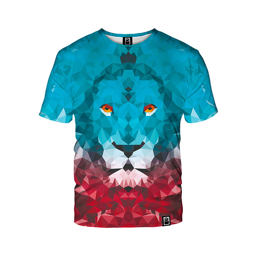 t-shirty męskie Męski T-shirt DR.CROW LION TRIANGLE