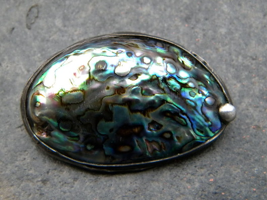  paua - broszka  Beata Trotter