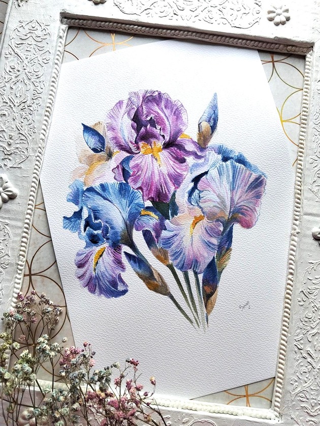 obrazy Akwarela irysy