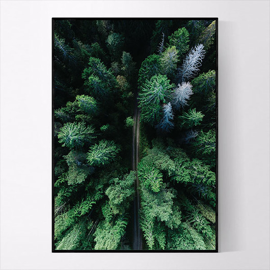 Plakat FOREST NO.2 MUKKO