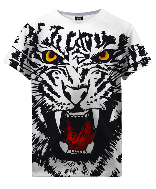 t-shirty dla chłopców T-shirt Boy DR.CROW White Tiger