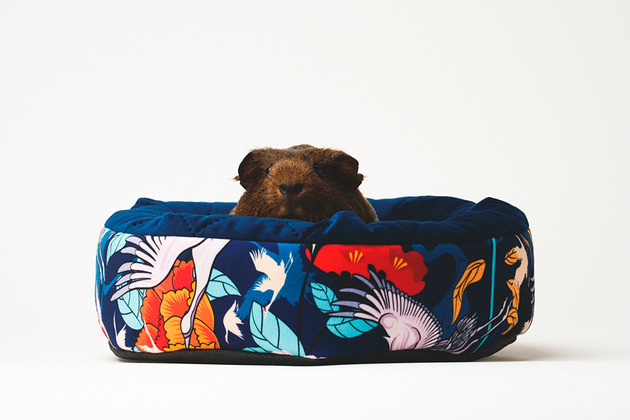 legowiska dla psów i kotów Legowisko oponka