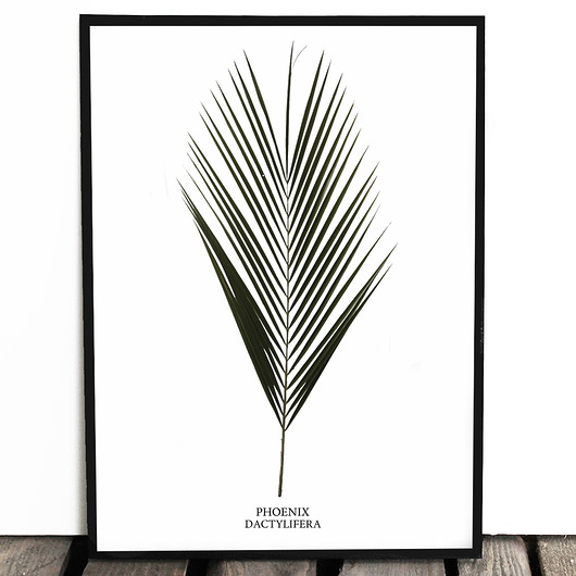 Botaniczny plakat PALMA 40x50cm Lawendowy Bazar