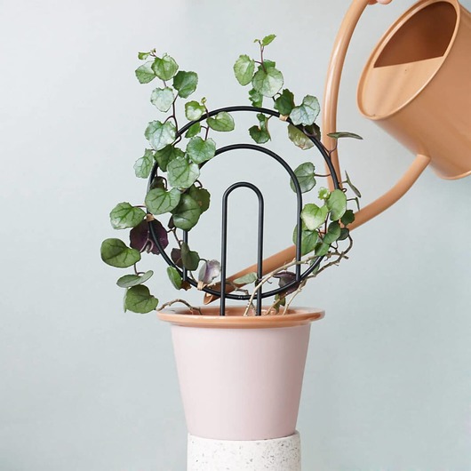 kwietniki Podpora busz.słońce