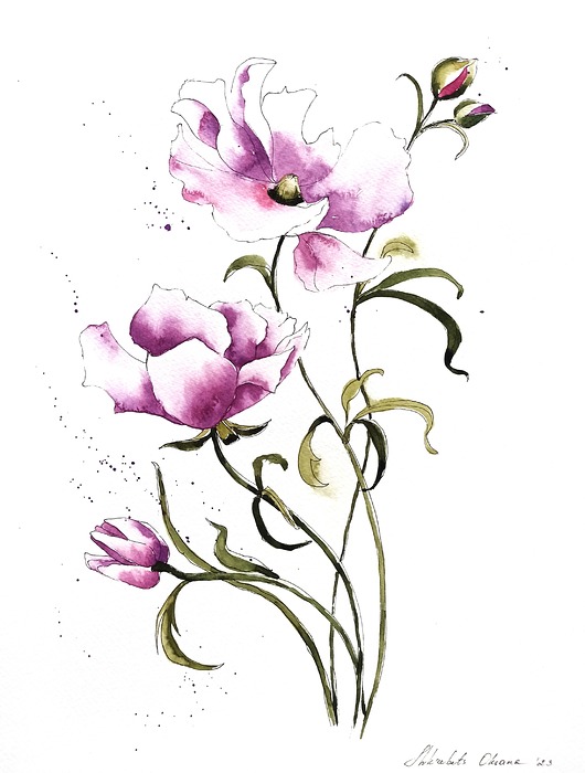 obrazy "Delikatne fioletowe anemony" 24*32 cm/ akwarela