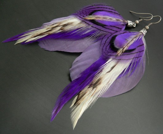 viola Stella