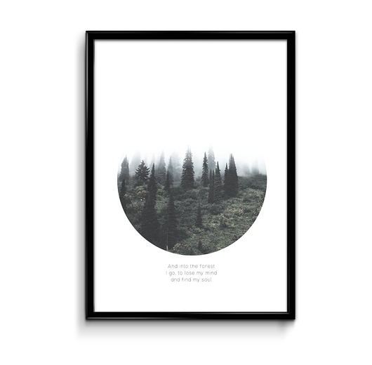 Plakat 40x50 Bury Lis