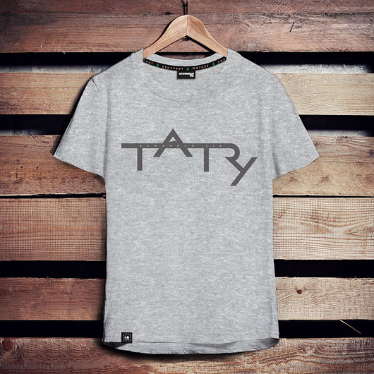 t-shirty męskie Koszulka męska TATRY jasnoszara -