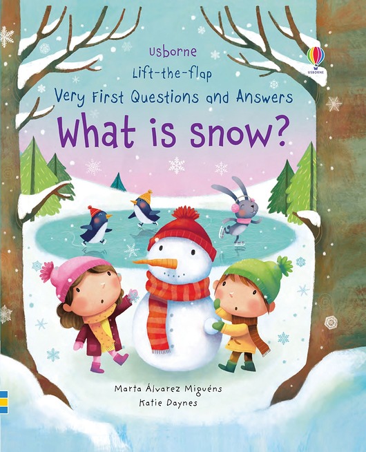 książeczki dla dzieci What is snow ?