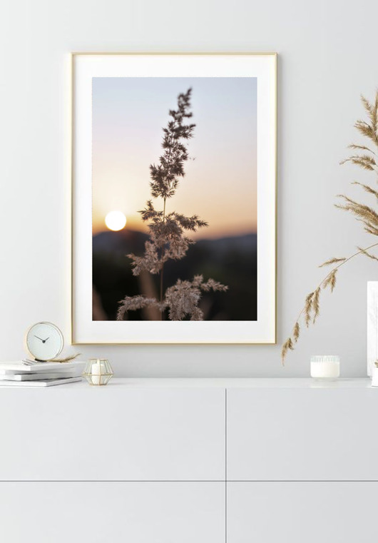 PLAKAT trawa pampasowa beżowy natura black dot studio