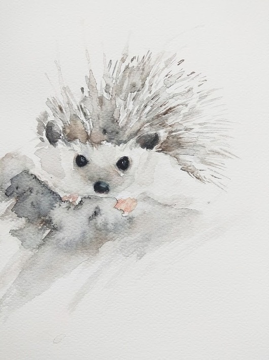 Akwarela jeżyk Wiktoria Borys Art