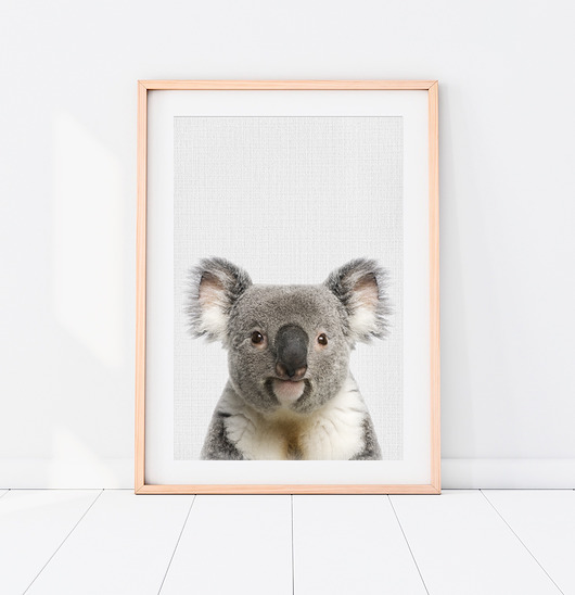 obrazy i plakaty do pokoju dziecięcego Plakat Koala - Plakat do pokoju dziecka