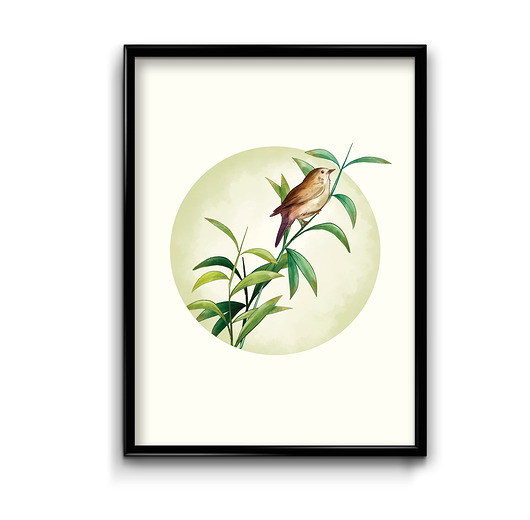 plakaty Plakat Ptaki No.6