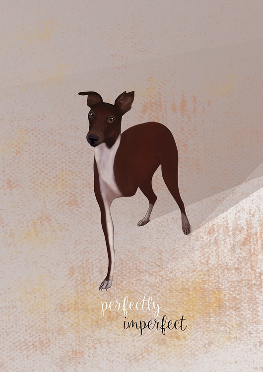 plakaty Plakat Perfectly imperfect