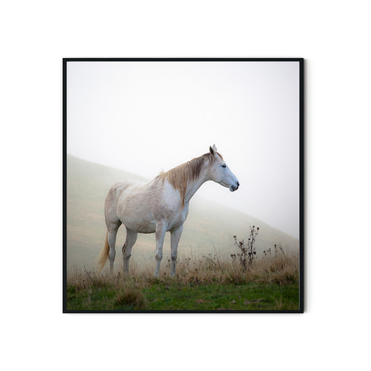 Plakat skandynawski Horse  myscandi