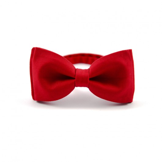 Muszka klasyczna The Bow Bow Ties