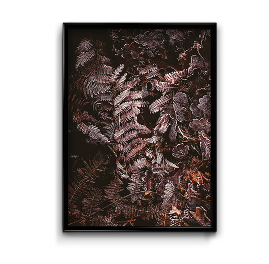 plakaty Plakat Jesienne Liście