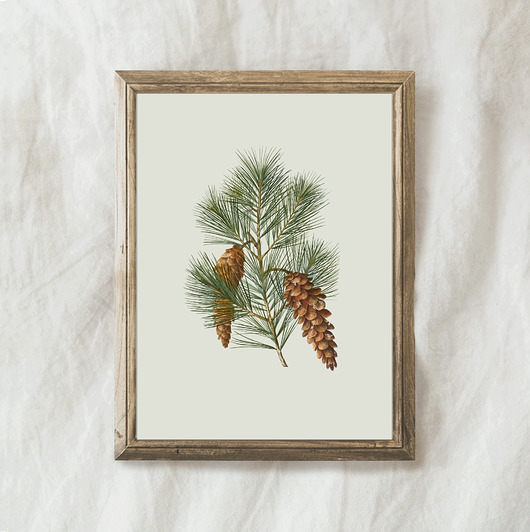 plakaty Plakat vintage sosna