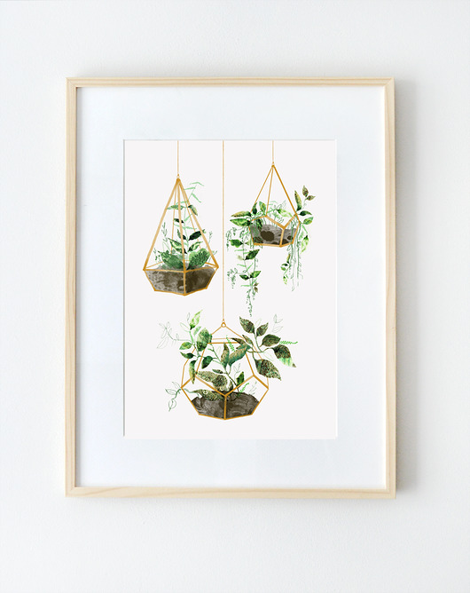 ilustracja botaniczna | A3 Anita Tomala