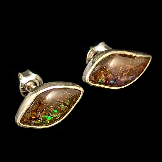 kolczyki srebrne Kolczyki srebrne Ammolity - jesienne listki