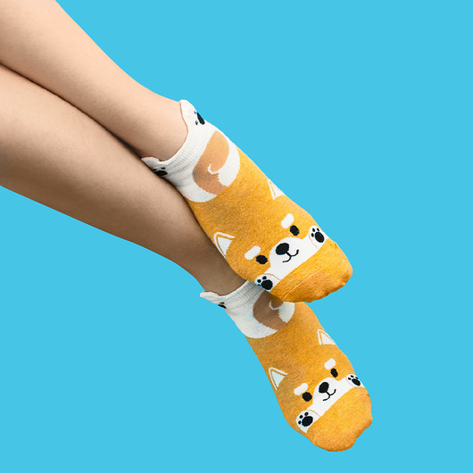 Skarpetki z Kotkiem CandySox