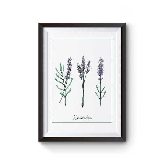 Wydruk Plakat  ilustracja Lavender Arty arty