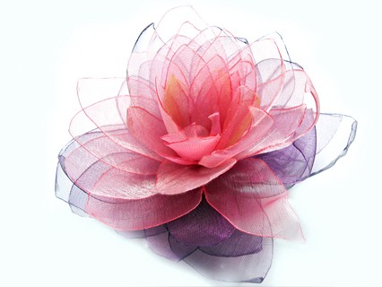 ESTHER_KOKÓW... SundayRose