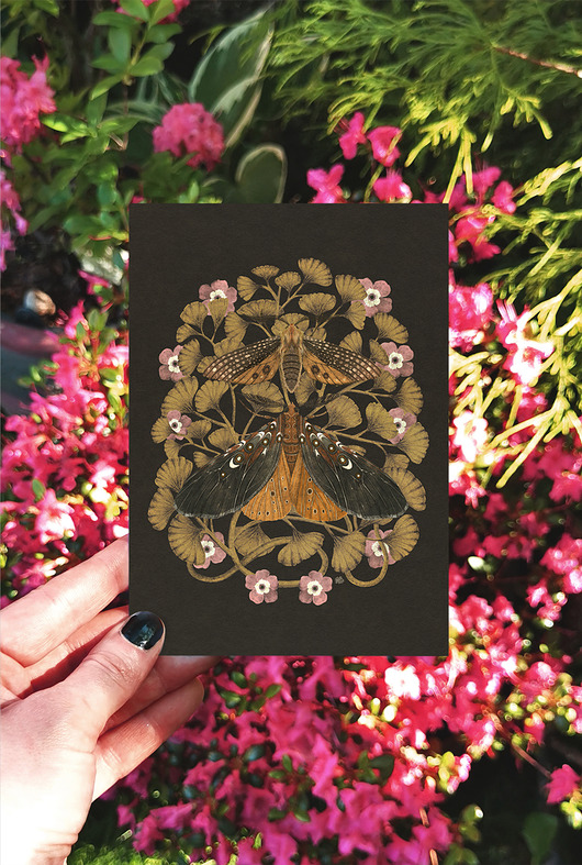 kartki okolicznościowe - wydruki Kartka ćmy, kartka okolicznościowa, pocztówka kwiaty, karta botaniczna