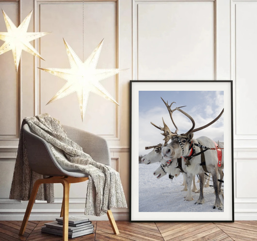 plakaty PLAKAT skandynawski renifery zimowy