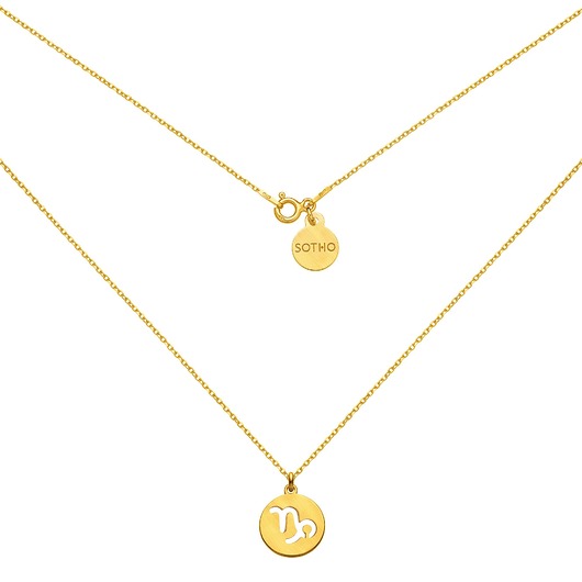 srebrne naszyjniki Złoty matowy naszyjnik z zodiakiem Koziorożca