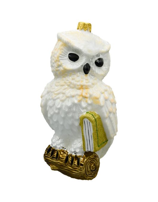 ozdoby choinkowe Bombka choinkowa: Sowa z księgą: biała