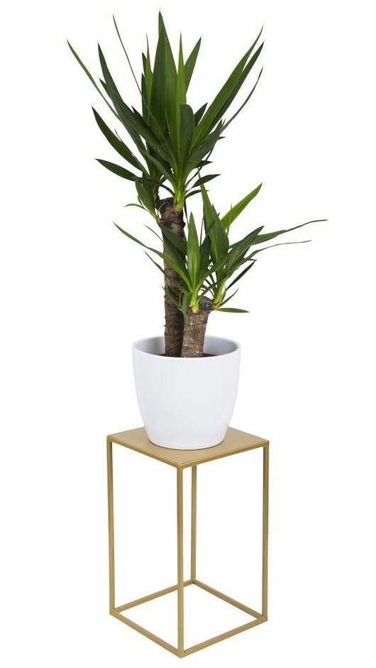 Nowoczesny Kwietnik Stojący 40 cm złoty MIA home