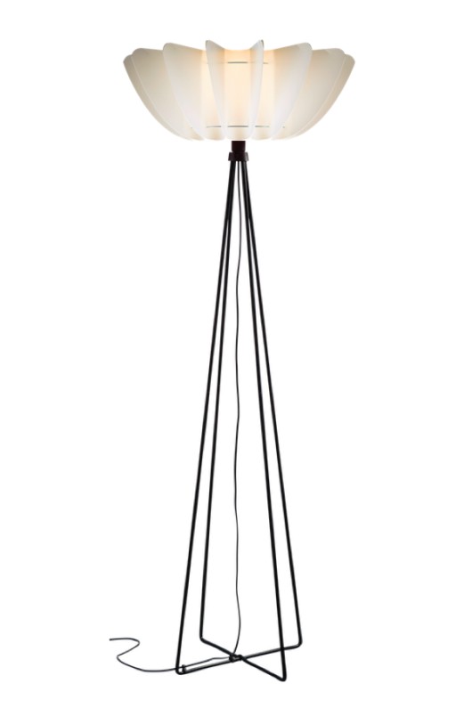 Ballet Norla Design