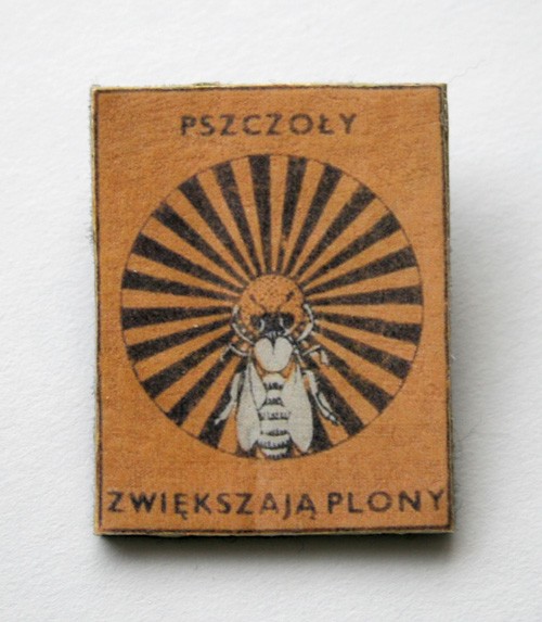 pszczoły ratują plony k u r k a