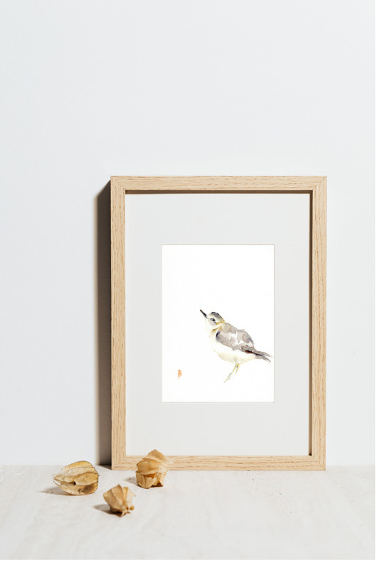 obrazy Oryginalna akwarela. Sieweczka