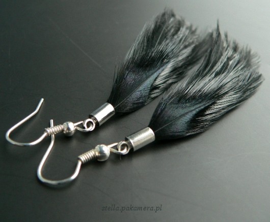 black Stella