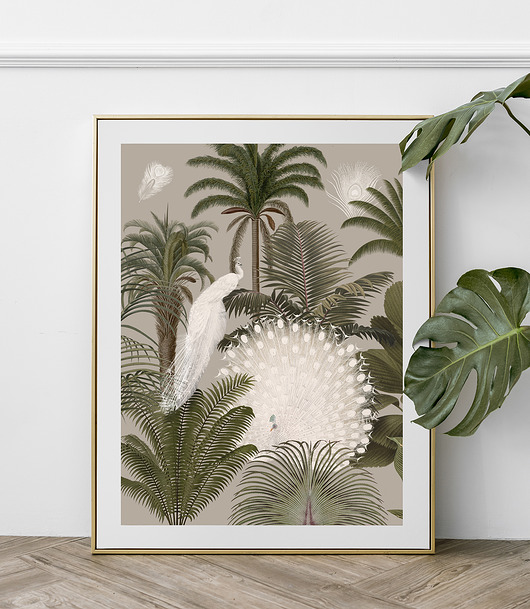 plakaty Plakat Białe pawie  40x50 cm