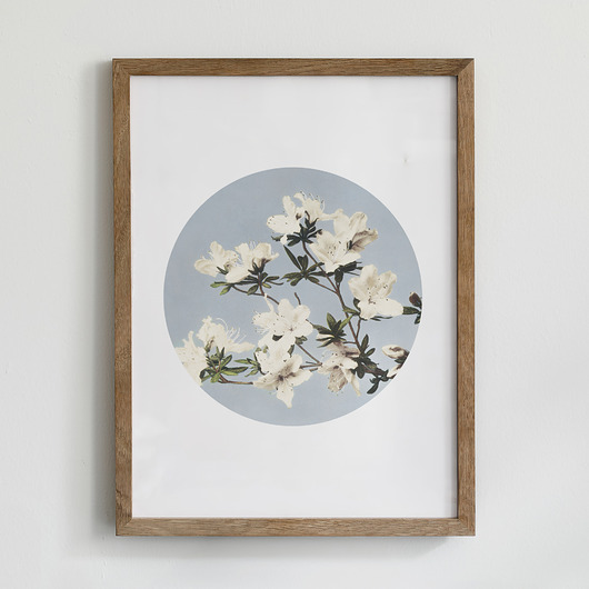 plakaty Plakat- Azalia