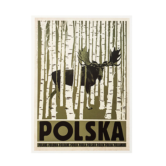 kartki okolicznościowe - wydruki Kartka pocztowa - Polska, Łoś