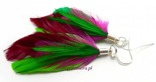 fuchsia  Stella