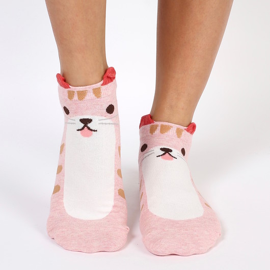 Kot śMIAUek CandySox