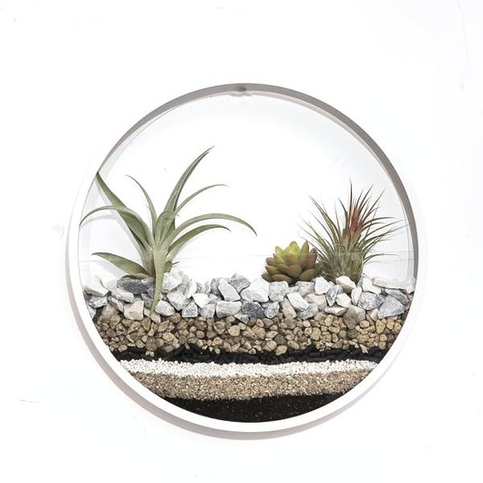 doniczki Circle planter "L" - dekoracja ścienna