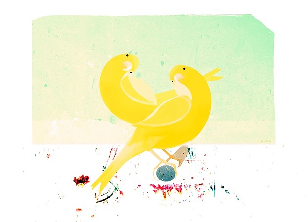 grafiki i ilustracje KAnArEczki