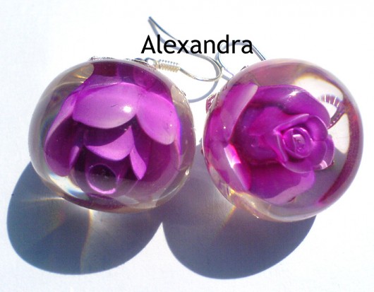 róże amarantowe alexandra13