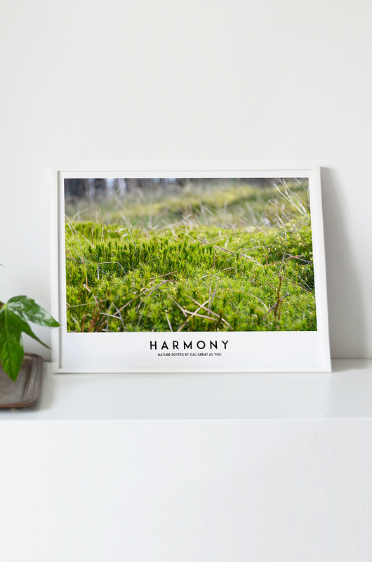 HARMONY Plakat GAU Home