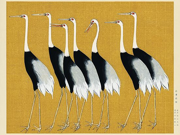 plakaty Japonskie-zurawie-ilustracja-vintage