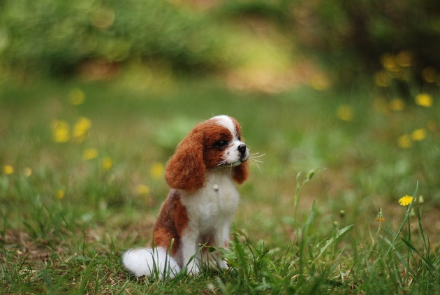 figurki i rzeźby King Charles Cavalier Mianiatura