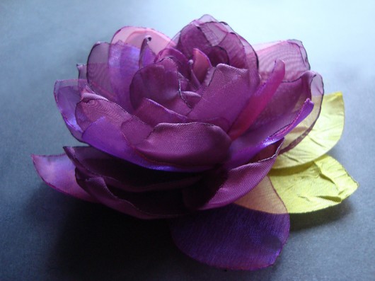 ŚLIWKA WĘGIERKA SundayRose