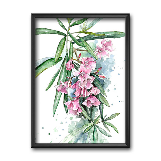 grafiki i ilustracje Oleander, 30x40 cm